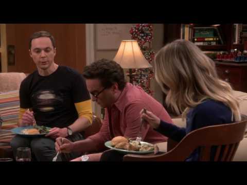 The Big Bang Theory - The Separation Agitation S10E21 [1080p]