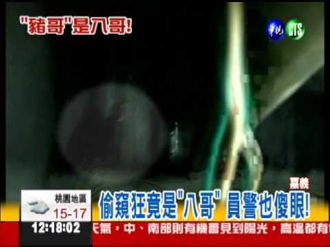 家有色狼?! "八哥鳥"搞鬼