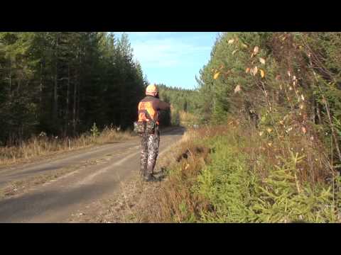 Kalv för Pajas och Lii