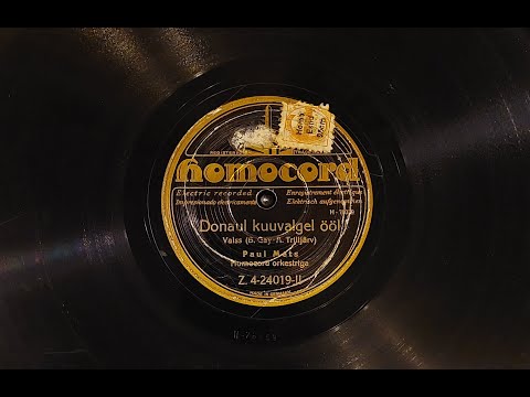 Paul Mets - Donau kuuvalgel ööl (1930)