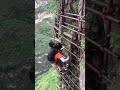 Kehidupan Orang Cina Punya Rumah Di Atas Gunung Keren Asri Hijau Luarbiasa Kuat Hijau
