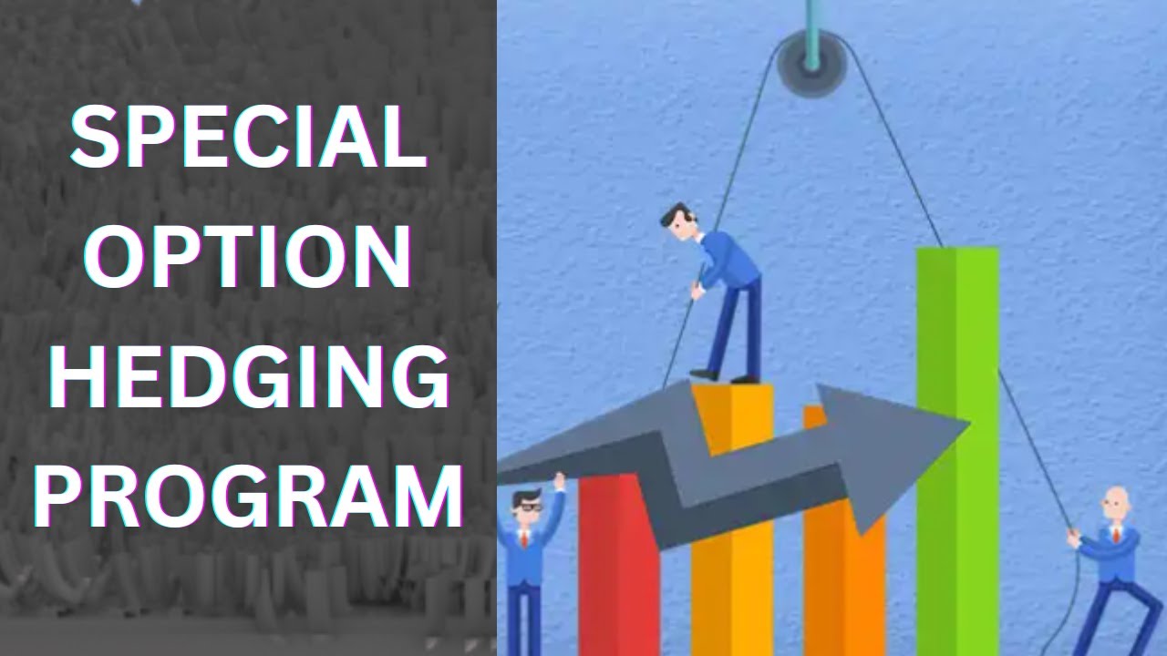 Special Option Hedging Program | Share Market Strategy Explained