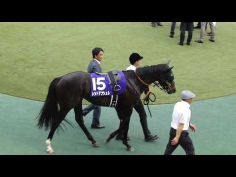 レッドアンシェル　in　 東京競馬場　at 2017.05.07. NHKマイルカップ（ＧⅠ）＃３