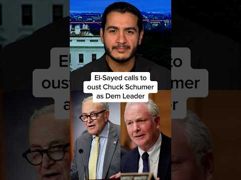 El-Sayed calls to oust Chuck Schumer as Dem leader