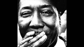 Muddy Waters-Everything's gonna be alright