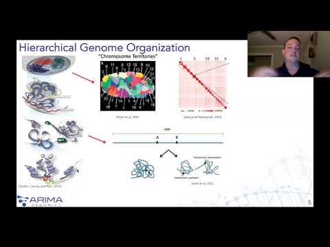 Epigenetics in Human Health and Disease Webinar co-hosted by Arima Genomics & Agilent