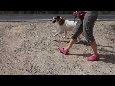 Vídeo de NIKA