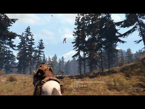 Horse Physics