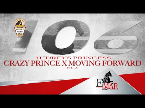 Lot 106 Crazy Prince x Moving Forward - filly