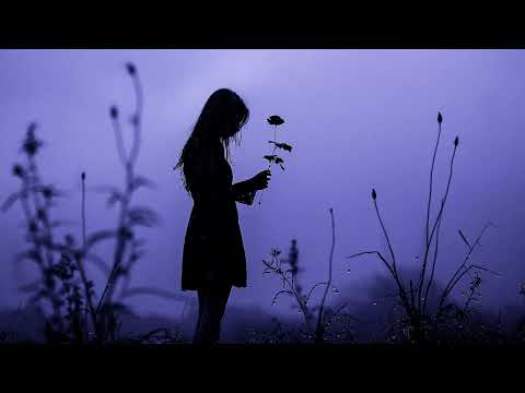 LEADWAVE x SUFFERSHADE = HAZE [1 HOUR LOOP]