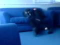 Me Lavanya Fighting