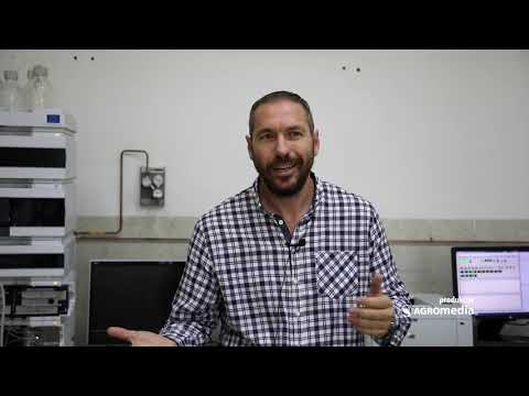 Koja je razlika između svetlog i tamnog piva?