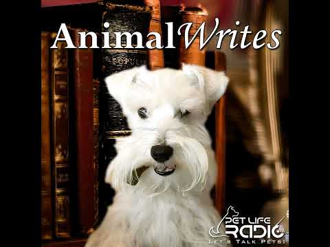 Animal Writes - Episode 76 A Wolf Called Romeo