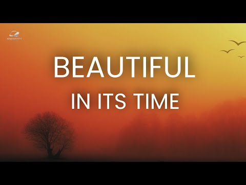 Witness21  2024 10 26