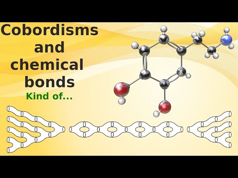 What are...diagram algebras?