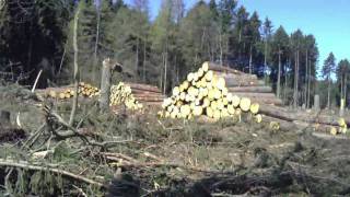 preview picture of video 'Sturmschäden im Wald bei Wirges am 17.04.2010'