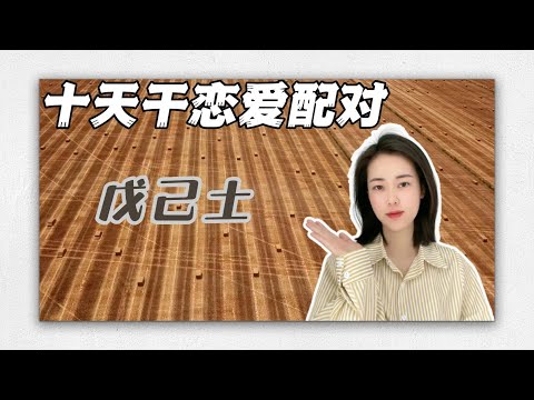 乙木男 戊土女