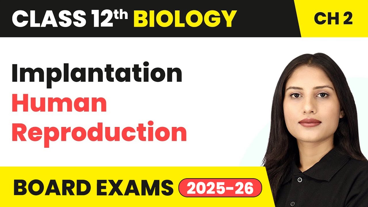 Implantation - Human Reproduction | Class 12 Biology Chapter 2 | CBSE 2024-25