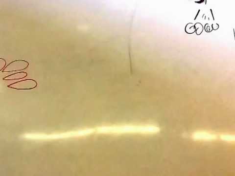 The Showdown - CLP QuickFLIX 2012 (iPad Stop Motion)