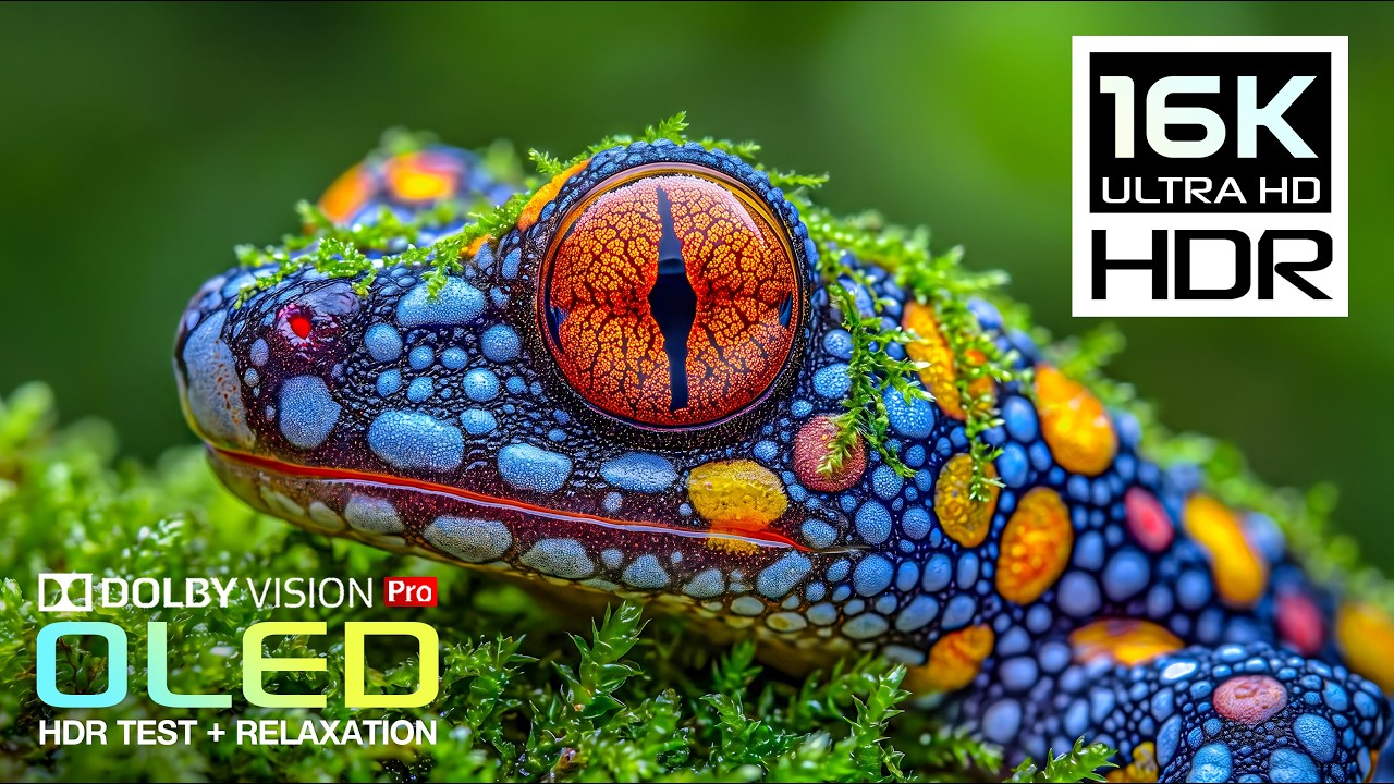 BEST OLED HDR Perfection | 16K Nature Animals | Dolby Vision 120FPS (8K/4K ULTRA HD TV)
