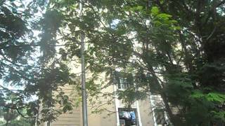 Dosti Vihar Vidisha and Vasudha