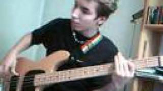 RHCP - Love rollercoaster [Bass cover]