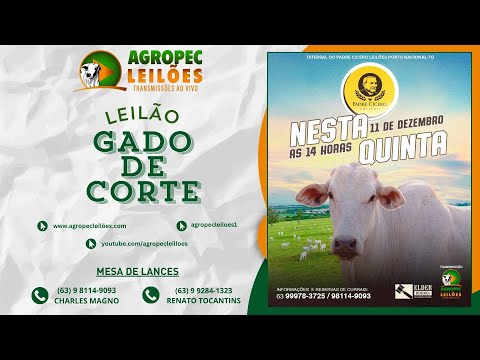 Agropecleiloes.com LEILÃO GADO DE CORTE | PADRE CÍCERO - PORTO NACIONAL-TO 11/12/2025.
