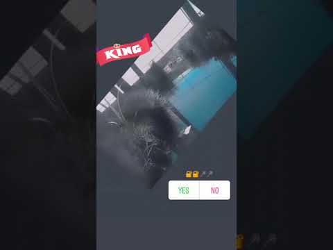 #LUv#Top 10 trending hashtags. #trending - 45% #viral - 9% #love - 7% #instagram - 7% #tiktok - 5% #