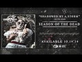Chasing Safety "Shadowed By A Storm" (Track 6 ...