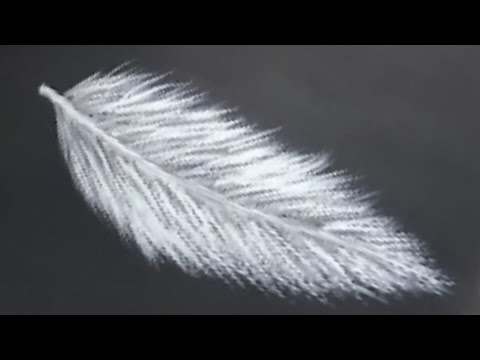 Painting a Feather with Acrylics