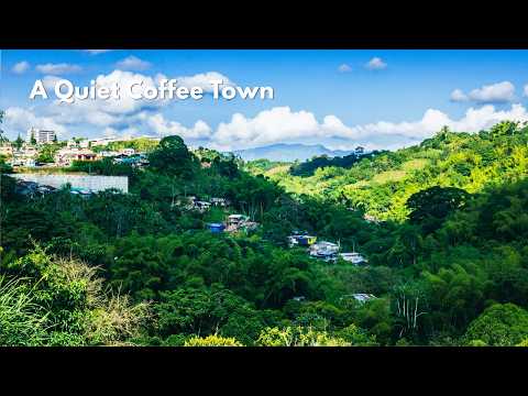 Montenegro Quindío Colombia Walk 🌿 | Coffee Town Streets & Canyon Views