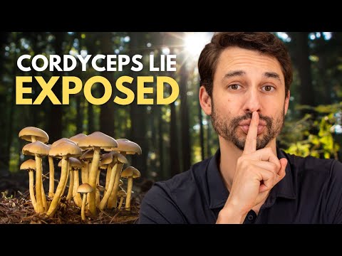 The Cordyceps Mushroom Scandal Explained
