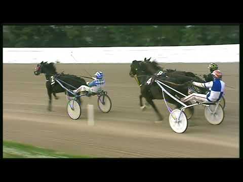 Trotto 13/11/2020 - 3ª corsa