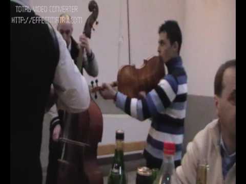 Tarafu din Lunca Ilvei