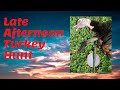 Late Afternoon Turkey Hunt