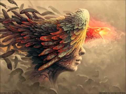 FTampa, The Fish House 031 vs Bobby Rock ft Cimo Fränkel New Life Boogle Mashup