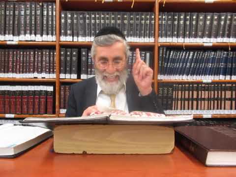 הרב יהושע ביבי - תשפ"ו - עמידה - שיעור מס' 167 - ביסוד דלאה דויעבור, ובש''ש ח''ג דף מ''ג ע''א אות ד'