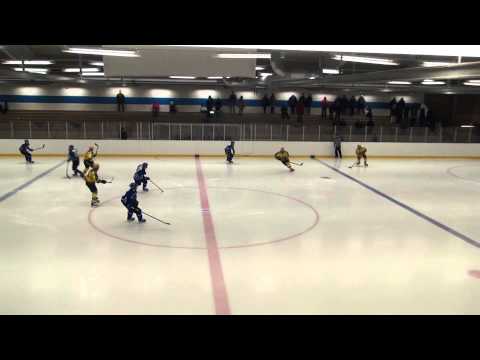 Göteborgs ik hemma 2013 01 23 039