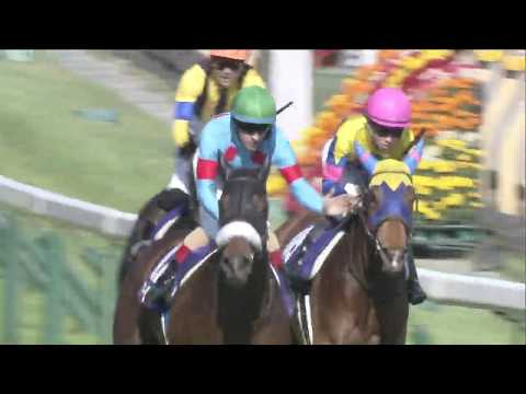 2020 Victoria Mile (G1)