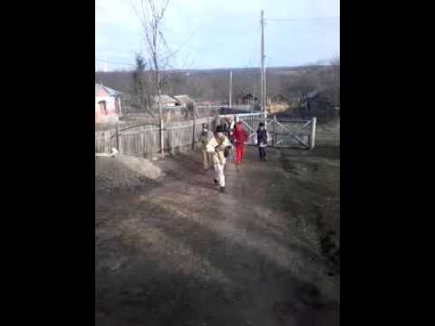 Damele la sătul idrici ,comuna Rosisti ,jud Vaslui