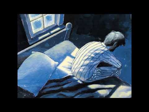 DiverZity - Need Some Sleep (Hmong Version)