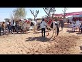 Ghodi Ghugara Bajao Chouhan DJ Sound And Ghodi Ka Dhamaka Jeeli