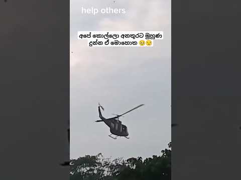 😒 මොනව කරන්නද #travel #automobile #italy #bus #busrace #music #trending #driving #shortsfeed #shorts