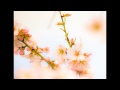 Al Gromer Khan - Almond Blossom Day