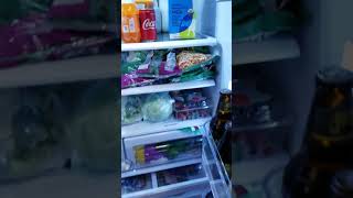 Samsung refrigerator grinding and freeze up fix — one that actually works