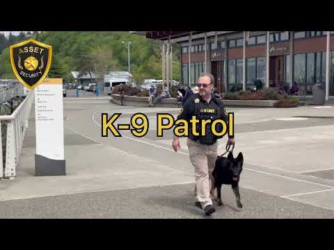 ASSET SECURITY NORTHWEST video.