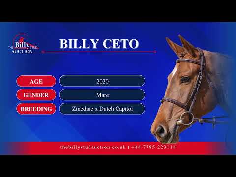 Billy Ceto