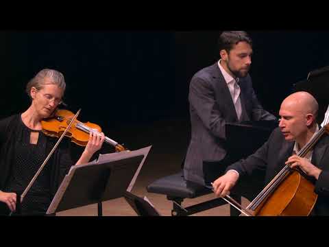 Michael Nyman: Yellow Beach (2002)