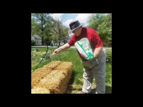 My Straw Bale Garden Experiment - Summer 2013