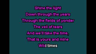 Electric Light Orchestra - Wild Times Karaoke